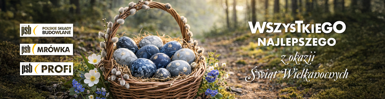 zdjęcie na stronie głównej
